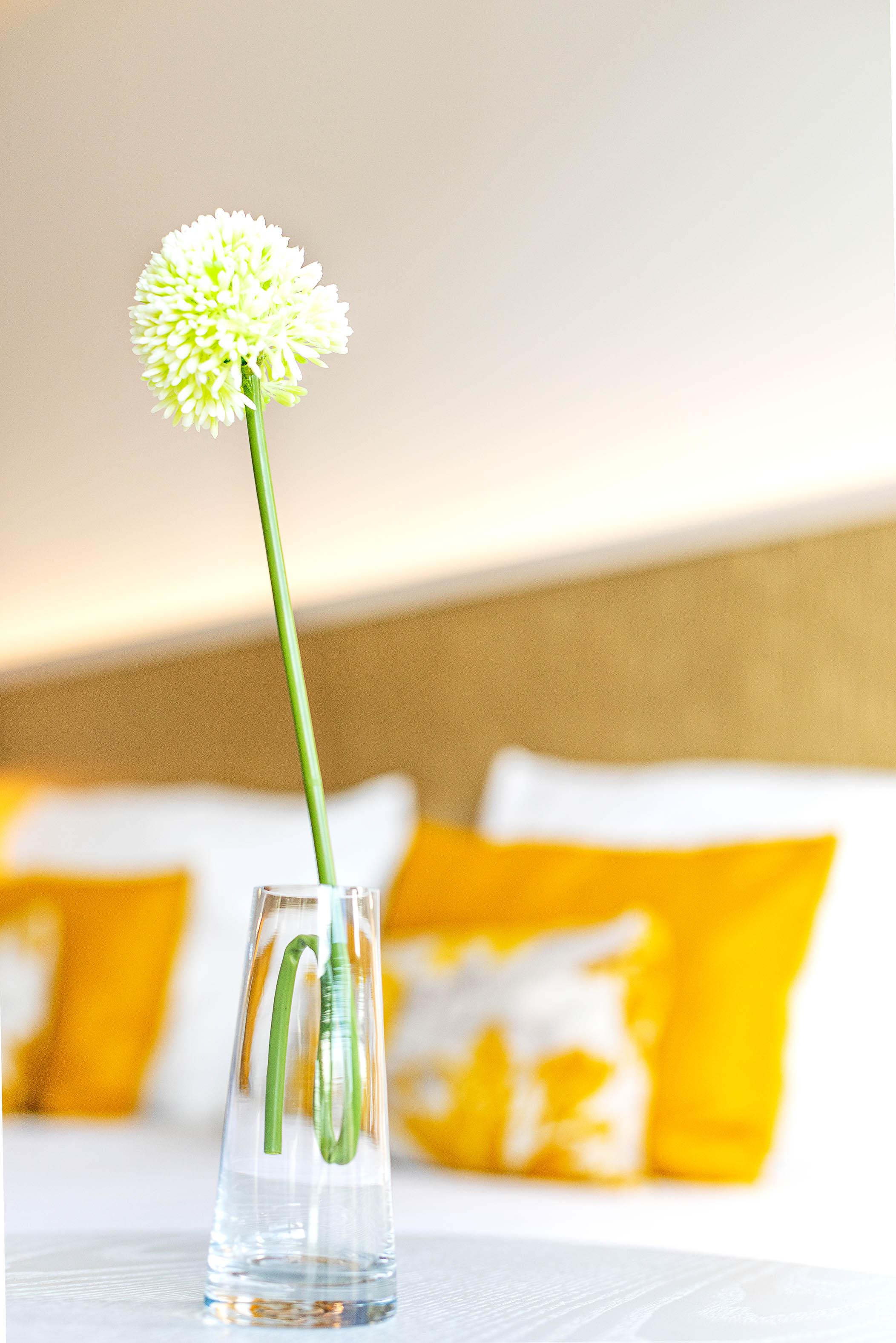 Hotell The Place - Adults Only Cala Ratjada (Mallorca)